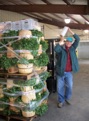 UGM Plastic Shrink Wrap Bifulcos Farms Bifulco Tall Boy Brand Pittsgrove New Jersey USA